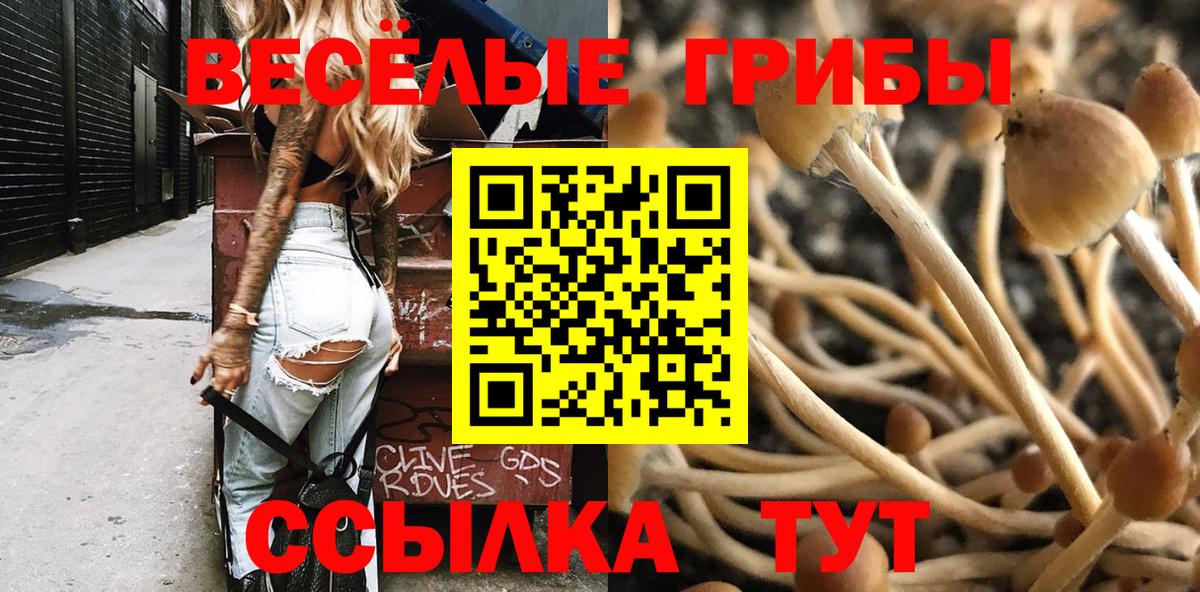 купить наркоту  Вход с VPN  Фрязино  Псилоцибиновые грибы GOLDEN TEACHER  Галлюциногенные грибы мухоморы 